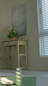 Vertical video: Tilting camera revealing table and mat with plant at home, blinds lighting bottle
