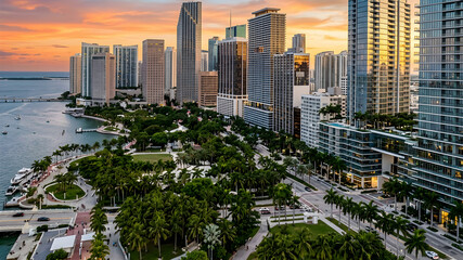 Naklejka premium Palm-Spired Skyline Tall skyscrapers interspersed with palm trees against a backdrop of a vibrant city skyline