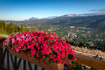 Obraz premium Red surfinia flowers on balcony with Tatra mountains view