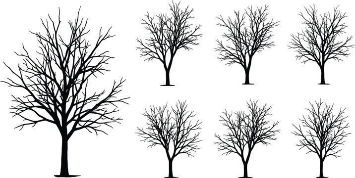 Collection of black tree silhouettes without leaves isolated on white background set now