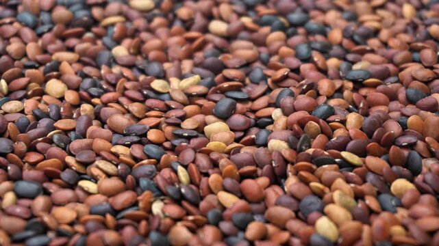 Macro Close Up of Horse Gram Lentils Texture for Healthy Organic Food Concept. 