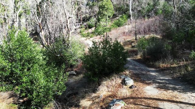 The Mill Creel Valley along the San Andras Fault looking ay a Yuhaaviatam Native American Indigenous Sacred waterfall on a Granite face near the Valley of the Falls on the Yucaipa Ridge,