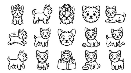 Fototapeta premium Cute Yorkshire Terrier dogs in various poses line art