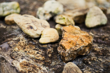 Zbliżenie na naturalne kamienie i minerały ułożone na starej, ciemnej strukturze drewna. Selektywna ostrość podkreśla detale i pomarańczową barwę głównego kamienia. Idealne na tło. © Henryk Niestrój
