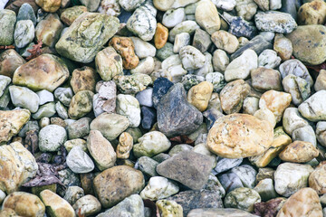 Tło z naturalnych kamieni rzecznych i otoczaków o różnych kształtach. Tekstura drobnego żwiru dekoracyjnego, kamyki ogrodowe, podłoże mineralne. © Henryk Niestrój