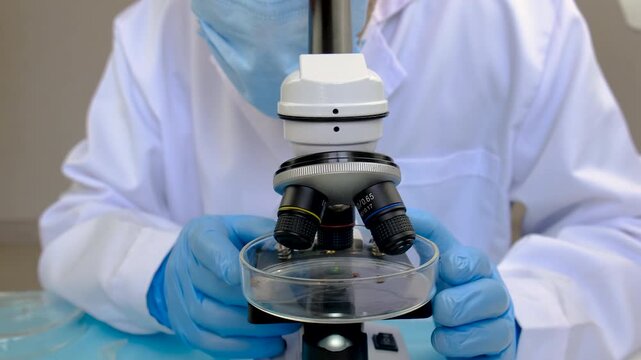 The tick laboratory is conducting an analysis. Selective focus.