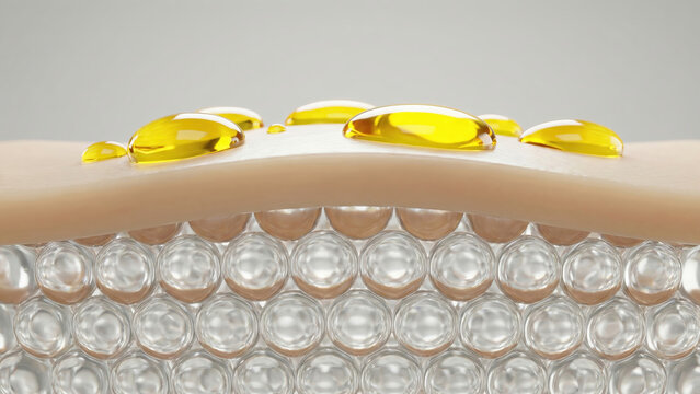 Close-up of human skin layers showing yellow serum or oil absorption, skincare concept.