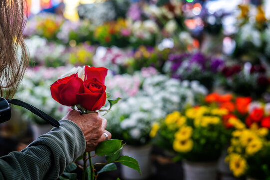 View of a person holding a bouquet of red roses at a vibrant outdoor flower market with blurred colorful blossoms in the background Rio de Janeiro, State of Rio de Janeiro, Brazil.