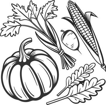Autumn harvest, fall icons, pumpkin corn, vector illustrations, seasonal graphics
