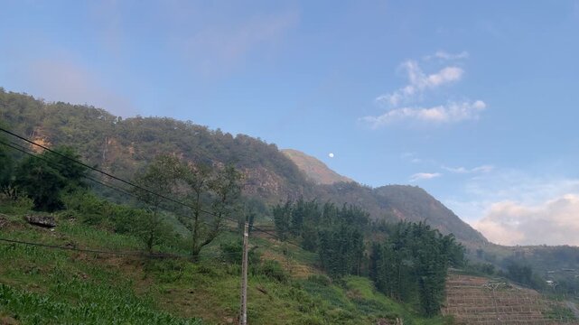 Handheld 4K B-roll footage of vegetation on the Hoang Lien Son mountain range in Sapa.