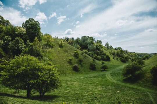 View of Zagajicka Brda hills with lush green grass, scattered trees, and a winding path under a cloudy sky Grebenac, Vojvodina, Serbia.