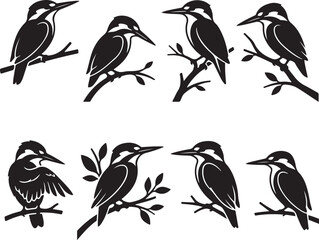 Fototapeta premium Kingfisher silhouette set. Black bird on branch vector. Minimalist wildlife icon. Kingfisher bird collection. Animal silhouette graphic. Nature silhouette. Kingfisher flat design. Vector bird art. 