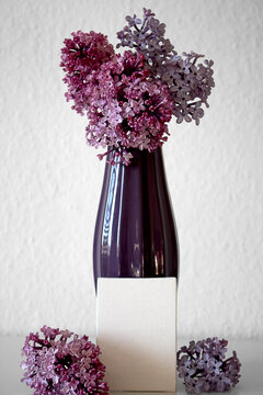 Still life with blooming lilacs and space for text.