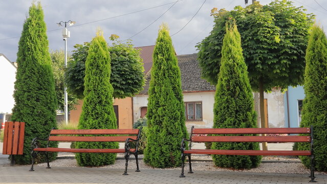 Thuje e panchine  nella piazzetta a Cmiel&ograve;w in Polonia