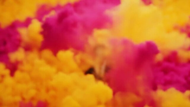 Creative reveal of a dapper man in a suit emerging from colorful smoke with a determined gaze