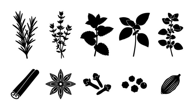 Collection of culinary herb and spice silhouettes showing rosemary thyme mint basil oregano cinnamon star anise cloves peppercorn and cardamom