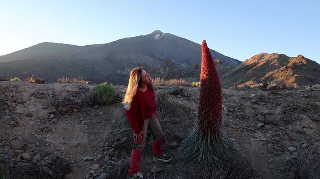A woman is looking at the red tajinaste flower with Mount Teide in the background