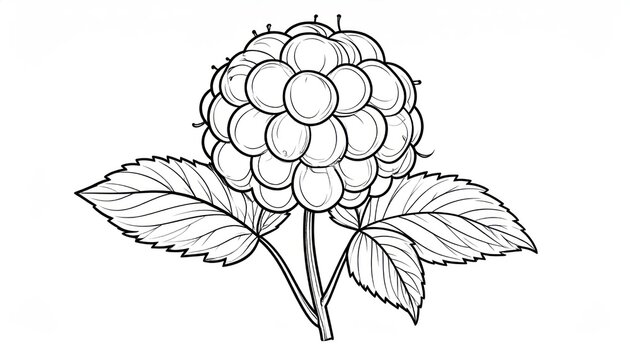 Single cloudberry fruit with leaves line art sketch.