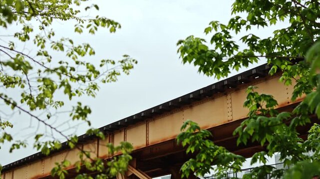 Train tracks run above ground level amid bright green leaves and trees in an urban setting. The sky appears gray, suggesting an overcast day.