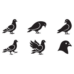 Fototapeta premium Pigeon Bird Vector Illustration Isolated on White Background