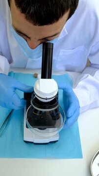 The tick laboratory is conducting an analysis. Selective focus.