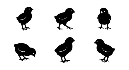 Six Black Chick Silhouettes, Cute Baby Bird Icons, Simple Farm Animal Vector Graphics, Spring Easter Poultry Collection © Jesmin