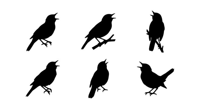 Singing Bird Silhouettes Vector Set: Avian Wildlife Icons, Nature Sound Graphics, Ornithology Art Collection