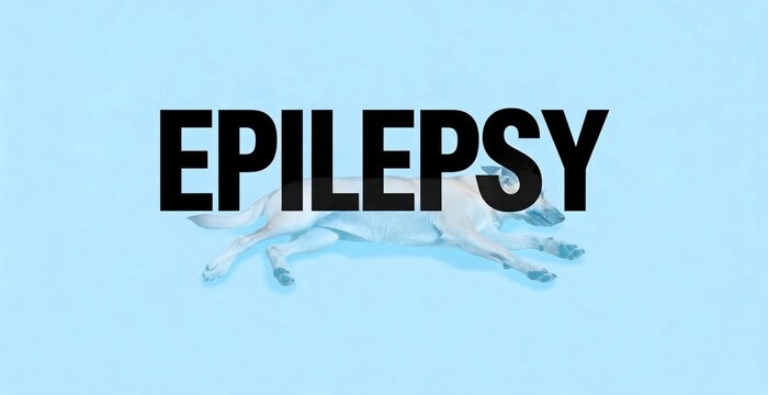 Epilepsy text overlay on a light blue background with blurred white horse image