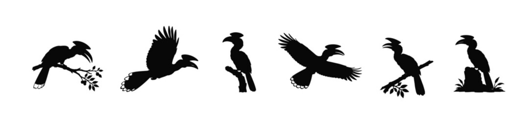 Hornbill Silhouette Collection Set in Multiple Poses © Artoniumw