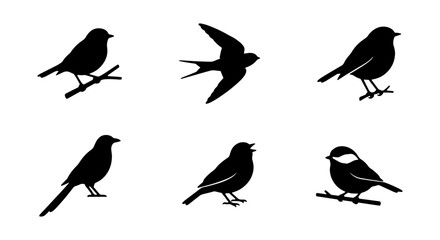 Set of Six Bird Silhouettes, Vector Icons for Nature and Wildlife Designs, Simple Black Avian Shapes © Nafisa