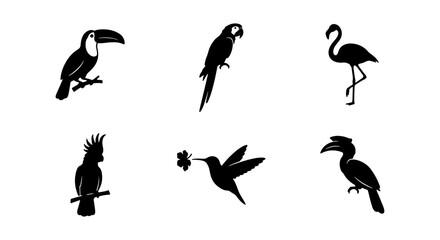 Six Silhouette Vector Birds Collection: Toucan, Parrot, Flamingo, Cockatoo, Hummingbird, Hornbill for Tropical Design © Nafisa