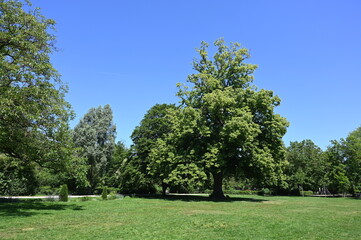 Fototapeta premium Stadtgarten in Achern