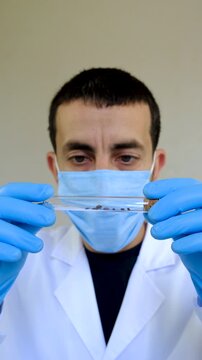 The tick laboratory is conducting an analysis. Selective focus.