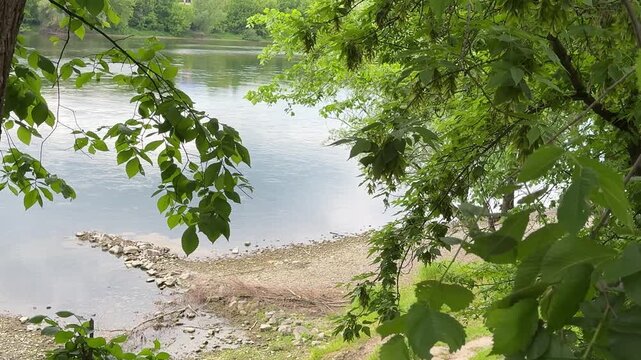 Scenic Dniester River view near Mohyliv Podilskyi border crossing with green trees and peaceful summer landscape