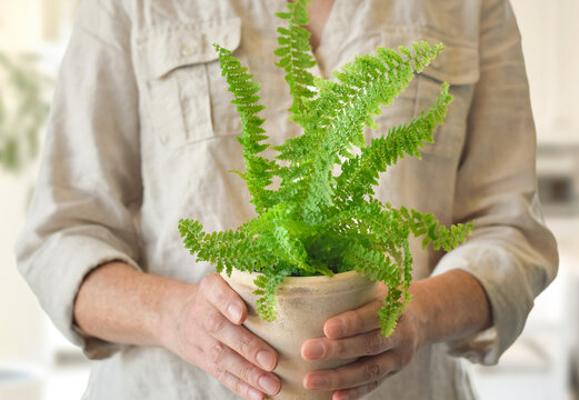 Midsection view of a woman holding a potted fern houseplant with healthy green foliage, highlighting indoor gardening, plant care, and home decor