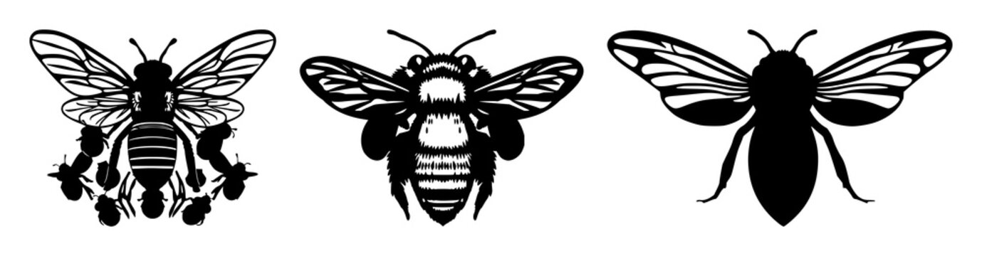 Swarm intelligence bee cluster set with solid black shapes featuring worker bees, honeybee swarm, insect colony with biology and entomology