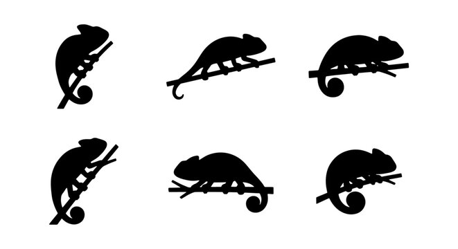 Chameleon Silhouettes Vector Set, Reptile Icons Collection, Wildlife Animal Graphics, Nature Elements, Black and White