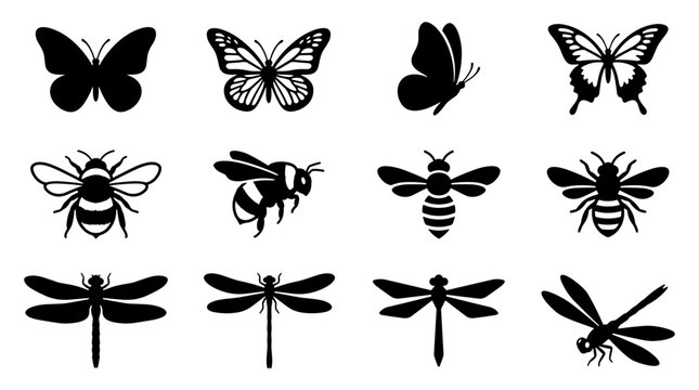 Collection of various insects including butterflies bees and dragonflies