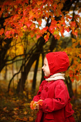 Toddler girl in red autumn outfit holding colorful leaves in fall park © Iryna Miadzvedzeva