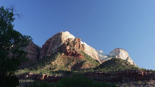 Dawn light on the rocky bluffs and windblown trees of Zion National Park in southern Utah