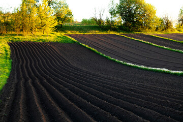Cultivating fertile soil for early spring planting season © Volodymyr