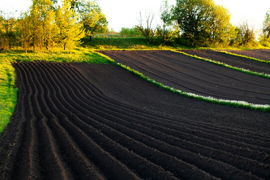 Cultivating fertile soil for early spring planting season