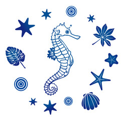 タツノオトシゴ © Bessy.