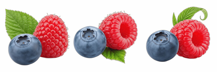 Isolated set of fresh organic blueberries and red raspberries with a green mint leaf on white background, raw sweet summer fruit collection for healthy food nutrition and dessert recipe concept © Bata