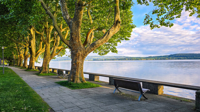 Mettnau Park in Radolfzell at Lake Constance with Plane Trees and Lakeside Promenade on a Summer Day