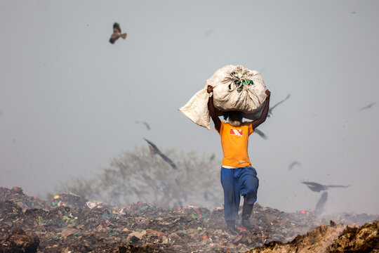 Aminbazar, Bangladesh - 21 February 2026: View of a worker carrying a large sack on his head at the Aminbazar landfill with birds flying in the hazy background.