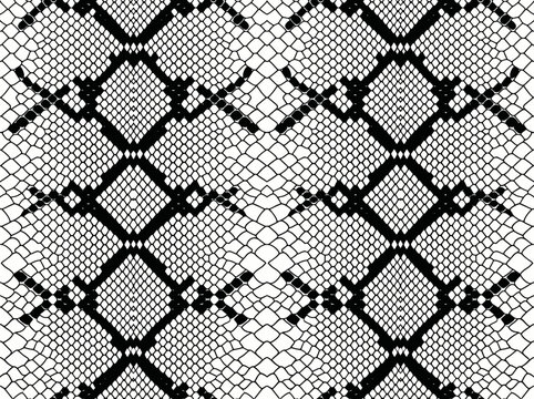 Seamless snake skin pattern, black and white reptile texture background