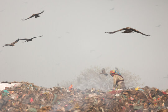 Aminbazar, Bangladesh - 21 February 2026: View of a woman working amidst piles of waste at the Aminbazar landfill with birds of prey circling in the hazy sky.