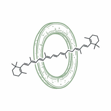 Scientific illustration of a beta carotene chemical structure passing through a molecular ring channel.