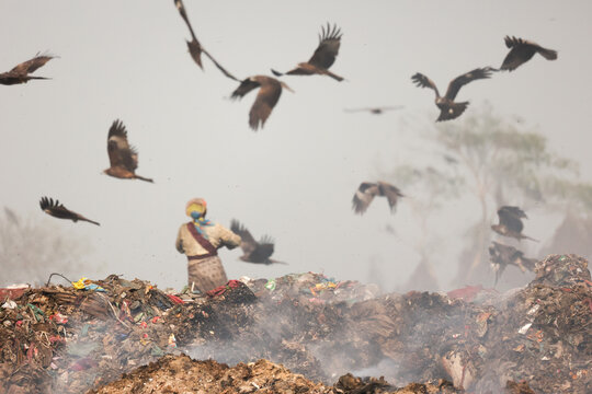 Aminbazar, Bangladesh - 21 February 2026: View of a waste picker standing on a massive pile of garbage at a landfill with numerous birds flying in the hazy sky.